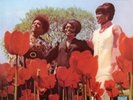 MARVELETTES- 
