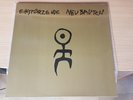 LP  Einstürzende Neubauten