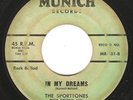 Doo Wop 45 THE SPORTTONES 