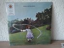 Trees - On the shore - Sunbeam records - Reissue - 2 Vinyl - 180g remastered