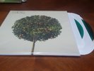 CARTEL - Self Titled Limited 2 x LP 500 made GREEN VINYL New indie punk emo rad