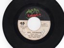 Panama Soul 45 The Soul Fantastics - Soul cucaracha on Taboga HEAR  