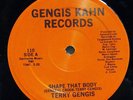 TERRY GENGIS-SHAPE THAT BODY /GONNA BE THERE ON GENGIS KAHN PRIVATE DISCO BOOGIE
