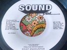 Rare Modern Soul Orig Promo 45 Brief Encounter Human / Total SOUND PLUS NM HEAR