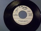 THE BLUEGRASS RENEGADES - RENEGADE GETAWAY - LARK 45 NM