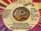 Rare Modern Soul Promo 45 James Walsh Gypsy Band Cuz It's You Girl RCA NM HEAR