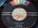 Sleazy Garage Tittyshaker Instro 45 Starfires Camel Walk / Fender Bender HEAR