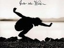 Into The Wild - VEDDER EDDIE [LP]