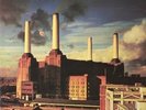 Pink Floyd - Animals Vinyl LP NEU 09536595