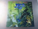 Yes Fly From Here, rare LP pressing, Chris Squire