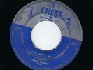 Jimmy Rogers 