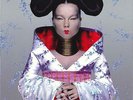 Vinyl-LP: Björk 