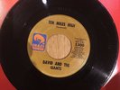 RARE NORTHERN ORIGINAL    DAVID AND THE GIANTS    TEN MILES HIGH    CRAZY HORSE
