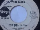 NORTHERN SOUL GARAGE PROMO 45/ LARRY & THE LARKS 