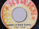 VIBES TONE - LEADERS OF BLACK COUNTRY - STARS ( ROOTS REGGAE 7 )
