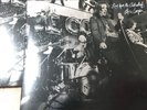 2 Copies Alice Cooper Live Astroturf Consecutive Numbers 0817 & 0818 Pink Vinyl