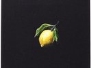 NEW Beyonce COLLECTOR'S EDITION HOW TO MAKE LEMONADE BOX SET COLOR LP VINYL BOOK