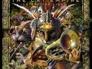 THE CAT EMPIRE STEAL THE LIGHT NEW VINYL