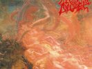 MORBID ANGEL BLESSED ARE THE SICK NEW VINYL