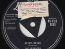 TRENIERS Never, Never RARE UK London 45 doo wop When Your Hair Has Turned HEAR