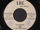 TERRI & VELVETEENS: I'm Waiting / La Flor 45 (dj, clean  wol, light lbl wear /
