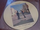 PINK FLOYD WISH YOU WERE HERE PICTURE DISC LP LOOKS NM