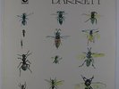 Syd Barrett - Barrett LP - Harvest UK VG++