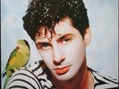 ETIENNE DAHO LA NOTTE LA NOTTE 33T LP VIRGIN 70.232 DISQUE QUASI NEUF