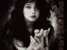 Kate Bush ?The Sensual World  vinyl 12