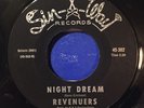 Revenuers : Moving On/Night Dream 45rpm Sin-A-Way RARE HALLOWEEN GARAGE VG++