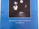 SISTERS OF MERCY Floodland 1987 rare Irish Poster size Press ADVERT 16x12 inches