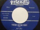 Rockabilly 45 primitive RAY BELL Yodelin Catfish Blues FRIENDLY Starday custom