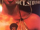 Pete Rock - Soul Survivor, Clear 2xLP Method Man Kool G Rap OC Grap Luva Kurupt