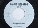 Private Press Record Brooklyn Garage Band Oz w/ Scarecrow Kaspak Strawberry Lady
