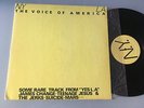 LP  AV The Voice Of America - Germs Suicide Teenage Jesus & The Jerks Mars