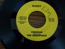 THE ESSENTIALS RARE GARAGE PSYCH 45 FREEDOM/ SUNSHINE BABY ON KANDY LABEL
