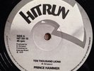 Prince Hammer - Ten Thousand Lions