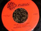 PRIVATE 1960s WI Garage Punk 45 - PEACEFUL COALITION 