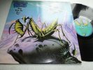 PRAYING MANTIS..TIME TELLS NO LIES.. SPART 1153.. EXCELLENT COPY