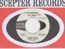 Judy Clay - You Busted My Mind / He's The Kind Of Guy - Scepter Demo - Northern