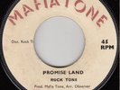 70s Reggae ROCK TONE promise land UK 7