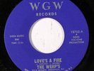 WERP'S: Love's A Fire / Shades Of Blue 45 Hear  (Garage Psych) rare Rock & Pop