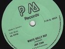 JAH LION* White Belly Rat b/w BLACK ART * Vampire * 7T's REGGAE DUB UK 45 *