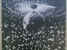 Neil Young with Pearl Jam Mirror Ball. Brand New Double LP