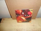 Pearl Jam Dissident UK 7