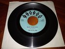 THE 4U & HIM back door man FENTON 45 KILLER MICHIGAN GARAGE PUNK THROBBER HEAR