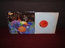 BEE GEES 1st LP 1967 POLYDOR MONO 1st Press  MINT  AMAZING EXAMPLE