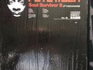 Pete Rock Soul Survivor 2 Instrumentals Vinyl LP 2004