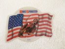 BRUCE SPRINGSTEEN - BORN IN THE USA c/w LIGHT MY FIRE  'FLAG SHAPED' Pic.Disc