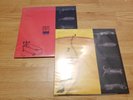 Maudlin of the Well 2 LP  